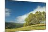 Oak Tree and Central Valley Hills, California-Vincent James-Mounted Photographic Print