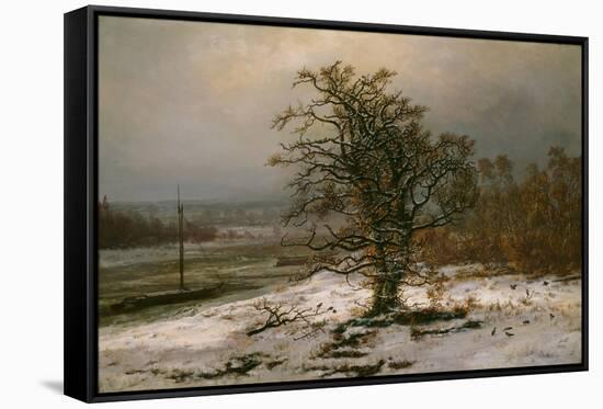 Oak Tree by the Elbe in Winter-Johan Christian Clausen Dahl-Framed Stretched Canvas