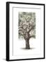 Oak Tree Composition II-Naomi McCavitt-Framed Art Print