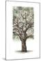 Oak Tree Composition II-Naomi McCavitt-Mounted Art Print