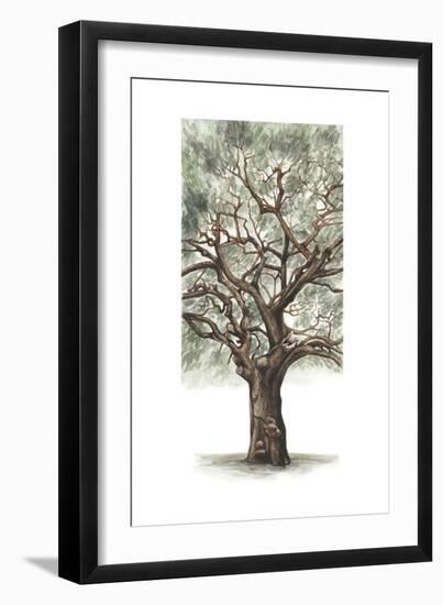 Oak Tree Composition II-Naomi McCavitt-Framed Art Print