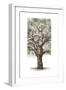 Oak Tree Composition II-Naomi McCavitt-Framed Art Print