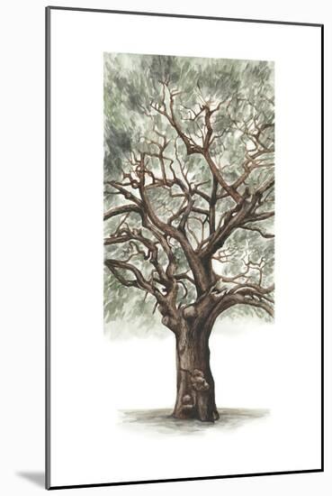 Oak Tree Composition II-Naomi McCavitt-Mounted Art Print