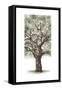 Oak Tree Composition II-Naomi McCavitt-Framed Stretched Canvas