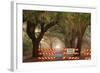 Oak Tree Drive Closed with Barriers, Savannah, Georgia, USA-Joanne Wells-Framed Photographic Print