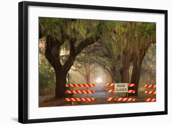 Oak Tree Drive Closed with Barriers, Savannah, Georgia, USA-Joanne Wells-Framed Photographic Print