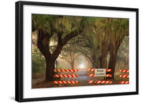 Oak Tree Drive Closed with Barriers, Savannah, Georgia, USA-Joanne Wells-Framed Photographic Print