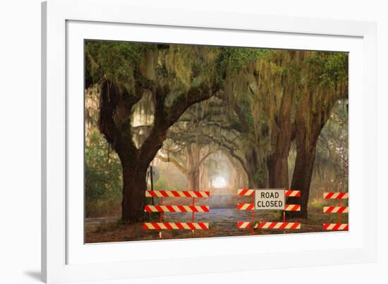 Oak Tree Drive Closed with Barriers, Savannah, Georgia, USA-Joanne Wells-Framed Photographic Print