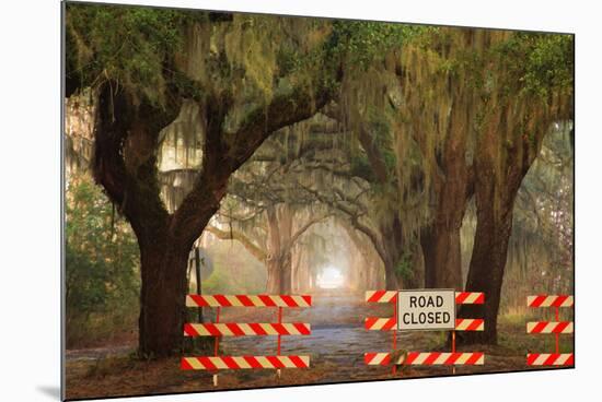 Oak Tree Drive Closed with Barriers, Savannah, Georgia, USA-Joanne Wells-Mounted Photographic Print