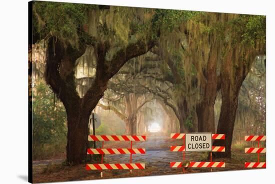 Oak Tree Drive Closed with Barriers, Savannah, Georgia, USA-Joanne Wells-Stretched Canvas
