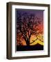 Oak Tree Framing Mt. Hood at Sunset, Columbia River Gorge National Scenic Area, Oregon, USA-Steve Terrill-Framed Premium Photographic Print