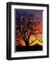 Oak Tree Framing Mt. Hood at Sunset, Columbia River Gorge National Scenic Area, Oregon, USA-Steve Terrill-Framed Premium Photographic Print