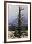 Oak Tree in the Snow-Caspar David Friedrich-Framed Giclee Print