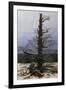 Oak Tree in the Snow-Caspar David Friedrich-Framed Giclee Print