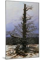 Oak Tree in the Snow-Caspar David Friedrich-Mounted Giclee Print
