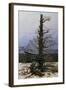 Oak Tree in the Snow-Caspar David Friedrich-Framed Giclee Print