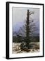 Oak Tree in the Snow-Caspar David Friedrich-Framed Giclee Print