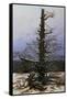 Oak Tree in the Snow-Caspar David Friedrich-Framed Stretched Canvas