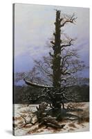 Oak Tree in the Snow-Caspar David Friedrich-Stretched Canvas
