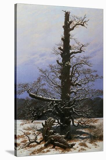 Oak Tree in the Snow-Caspar David Friedrich-Stretched Canvas