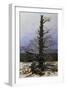 Oak Tree in the Snow-Caspar David Friedrich-Framed Giclee Print