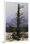 Oak Tree in the Snow-Caspar David Friedrich-Framed Giclee Print