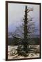 Oak Tree in the Snow-Caspar David Friedrich-Framed Giclee Print