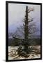 Oak Tree in the Snow-Caspar David Friedrich-Framed Giclee Print