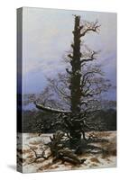 Oak Tree in the Snow-Caspar David Friedrich-Stretched Canvas