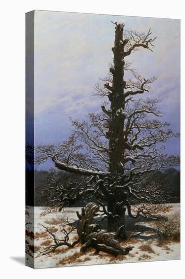 Oak Tree in the Snow-Caspar David Friedrich-Stretched Canvas