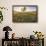 Oak Tree Near Field of Oxeye Daisies and Wheat, Palouse, Washington-Stuart Westmorland-Framed Photographic Print displayed on a wall