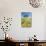 Oak Tree Near Field of Oxeye Daisies and Wheat, Palouse, Washington-Stuart Westmorland-Stretched Canvas displayed on a wall