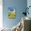 Oak Tree Near Field of Oxeye Daisies and Wheat, Palouse, Washington-Stuart Westmorland-Photographic Print displayed on a wall