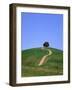 Oak Tree on a Field in the Tuscany-Herbert Kehrer-Framed Photographic Print