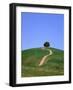 Oak Tree on a Field in the Tuscany-Herbert Kehrer-Framed Photographic Print