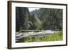 Oak Tree over the Semois River-Mark Doherty-Framed Photographic Print