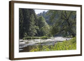 Oak Tree over the Semois River-Mark Doherty-Framed Photographic Print