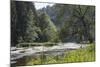 Oak Tree over the Semois River-Mark Doherty-Mounted Photographic Print