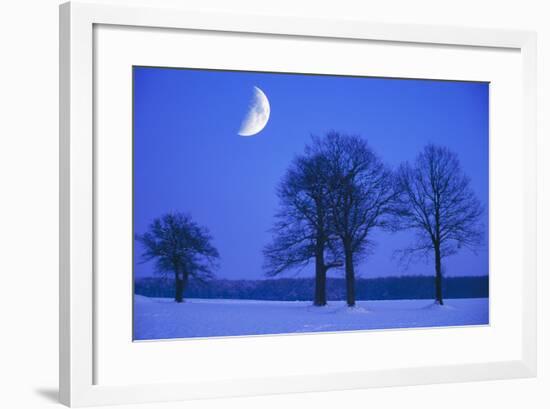 Oak Tree Standing on Field, Winter Evening with Moon-null-Framed Photographic Print