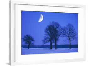 Oak Tree Standing on Field, Winter Evening with Moon-null-Framed Photographic Print