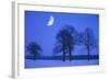 Oak Tree Standing on Field, Winter Evening with Moon-null-Framed Photographic Print