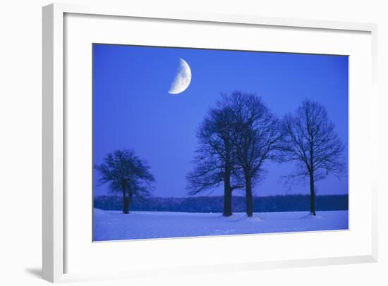 Oak Tree Standing on Field, Winter Evening with Moon-null-Framed Photographic Print