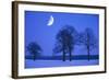 Oak Tree Standing on Field, Winter Evening with Moon-null-Framed Photographic Print