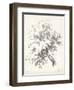 Oak Tree Study-null-Framed Art Print