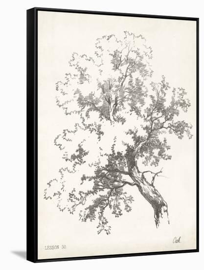 Oak Tree Study-null-Framed Stretched Canvas