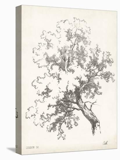 Oak Tree Study-null-Stretched Canvas