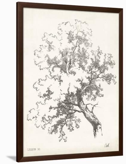 Oak Tree Study-null-Framed Art Print