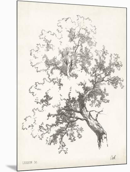 Oak Tree Study-null-Mounted Art Print