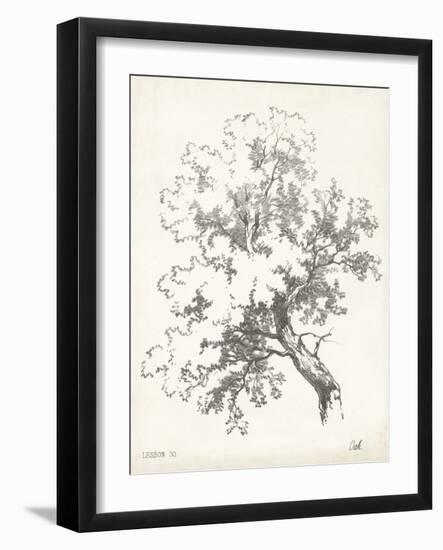 Oak Tree Study-null-Framed Art Print