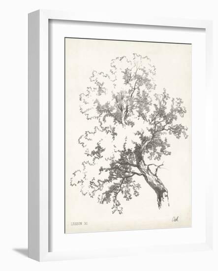 Oak Tree Study-null-Framed Art Print